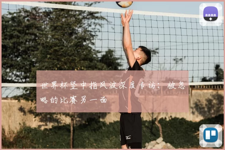 世界杯竖中指风波深度专访：被忽略的比赛另一面