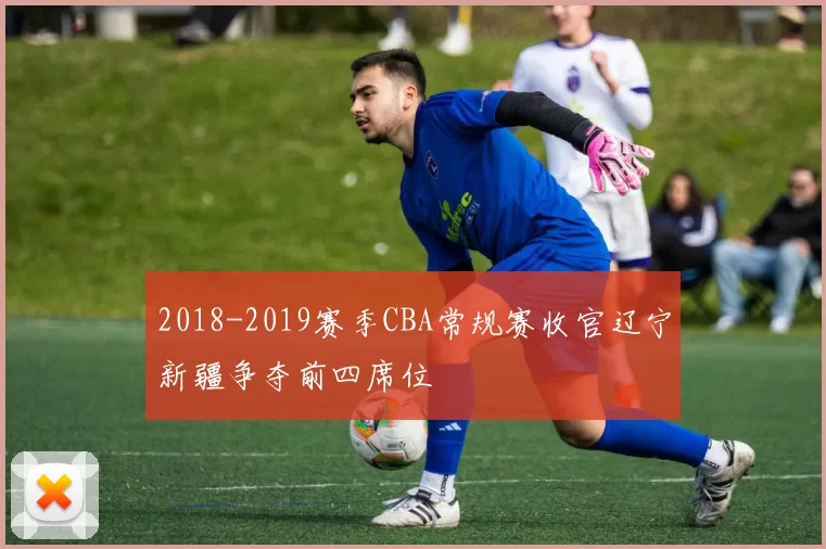 2018-2019赛季CBA常规赛收官辽宁新疆争夺前四席位