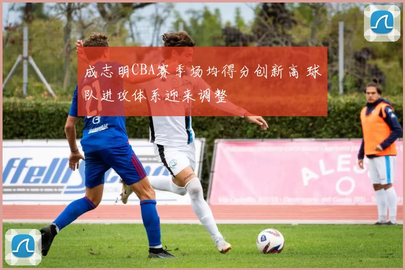 成志明CBA赛季场均得分创新高 球队进攻体系迎来调整