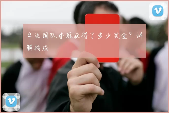 年法国队夺冠获得了多少奖金？详解构成