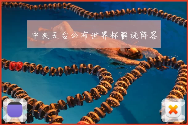 中央五台公布世界杯解说阵容