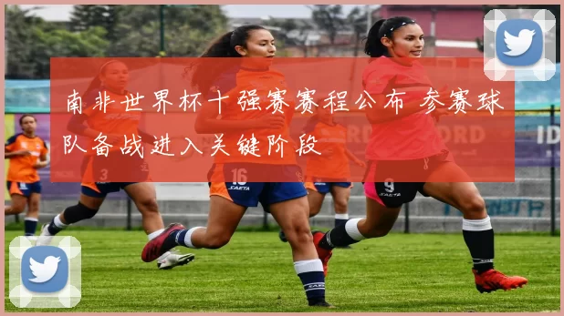 南非世界杯十强赛赛程公布 参赛球队备战进入关键阶段