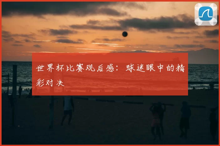 世界杯比赛观后感:球迷眼中的精彩对决