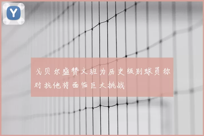 戈贝尔盛赞文班为历史级别球员称对抗他将面临巨大挑战
