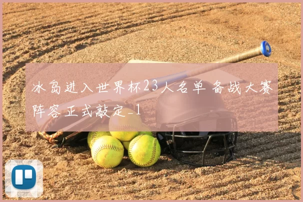 冰岛进入世界杯23人名单 备战大赛阵容正式敲定_1