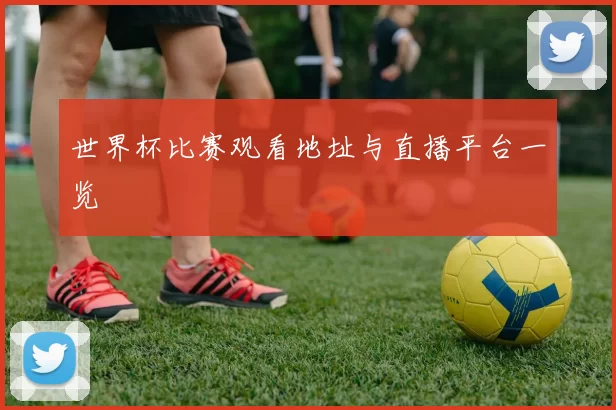 世界杯比赛观看地址与直播平台一览