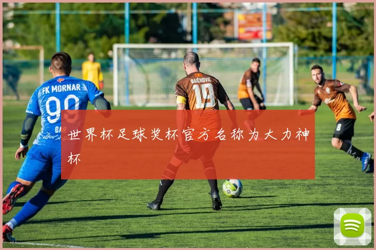世界杯足球奖杯官方名称为大力神杯
