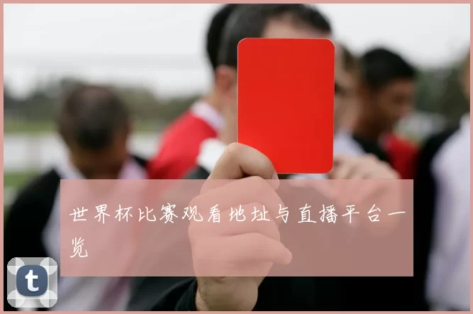 世界杯比赛观看地址与直播平台一览