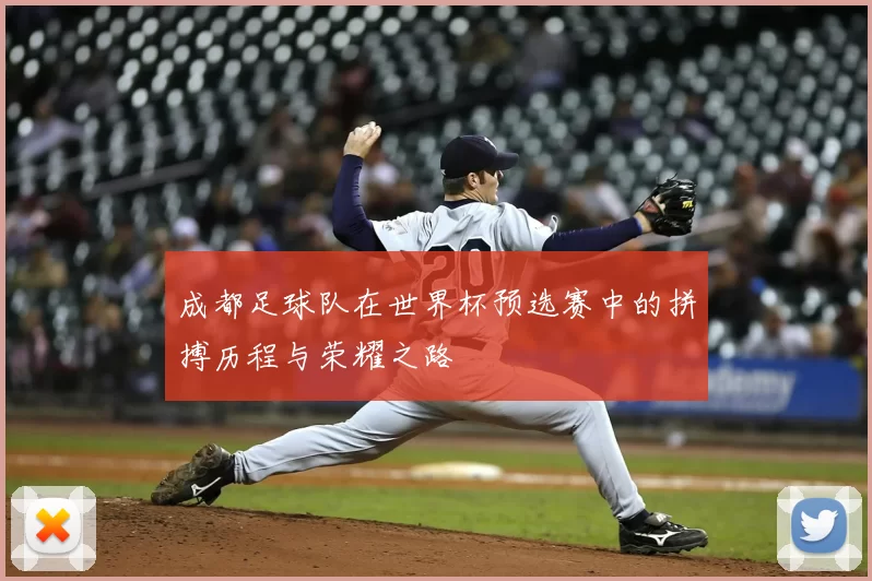 成都足球队在世界杯预选赛中的拼搏历程与荣耀之路