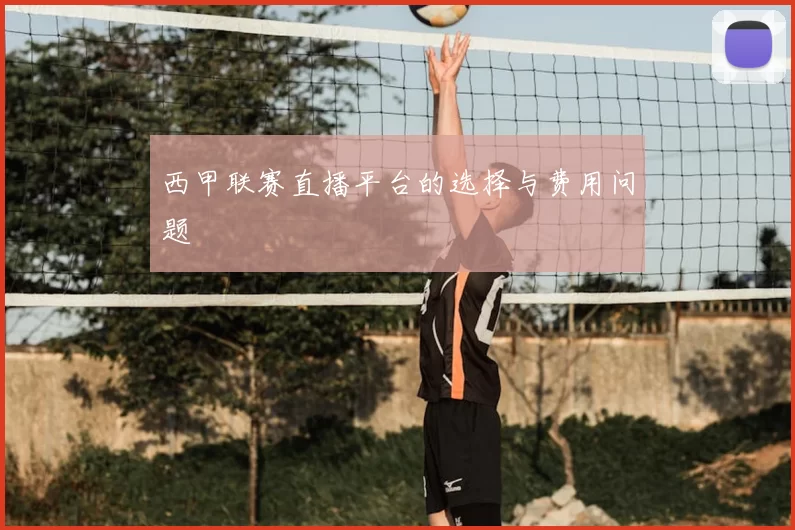 西甲联赛直播平台的选择与费用问题