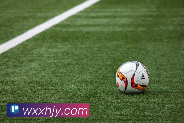 华体会官方发展历程